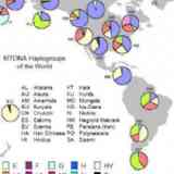 Click para ampliar. 1B Mapa Haplogrupos de ADN mitocondrial nivel mund